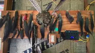 #204 Arkansas Hunting Cabin