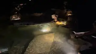 #frogs #naturalpool #waterfall #sedona 