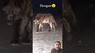 Bhediya😯#shorts#animals#janvar#video#funny#