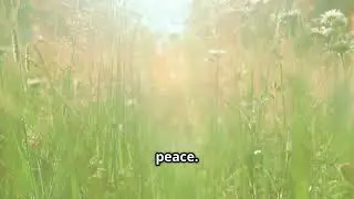 Faith Based Reflection on Perfect Peace