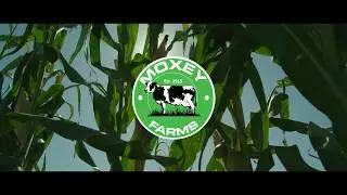 Corn Silage Harvest 2018