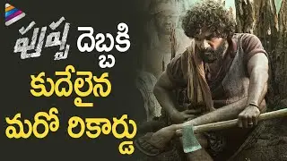 Pushpa Teaser Creates A Sensational Record | Allu Arjun | Rashmika | Fahadh Faasil | Sukumar | DSP