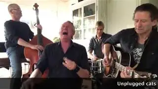 Trouble Cats unplugged: 