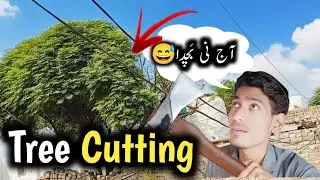 &ldquo;Tree Cutting Day 🌳 | Permission Mill Gae? 😲 | Mr. Kundian Vlogs&rdquo;