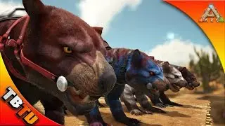 HOW TO CONTROL MUTATION INHERITANCE! BREEDING FOR COLOR! THYLACOLEO MUTATIONS! Ark Scorched Earth