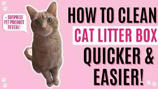 Extendable Stainless Steel Kitty Litter Scooper Review + Surprise Pet Product Reveal!