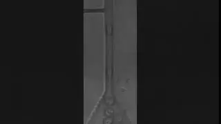 Liquid crystal bubbles generated in nematic state in a T-shaped microfluidics