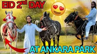 Eid Day 2 At Ankra park || Amazing Horse Ride on Salar Horse || #eid #ride #salar #horse #riding