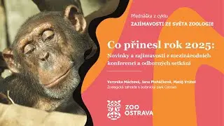 Předn&aacute;&scaron;ka v Zoo Ostrava: Co přinesl rok 2025