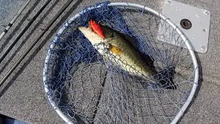 Trouble On Lake Griffin   Boat Breaks Down