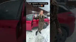 Яркий BAIC X55. #shorts Лиса рулит