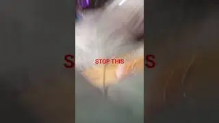 STOP THIS THING