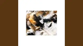 Feathers (feat. JBird)