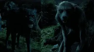 Seriese Black Vs Werewolf | Harry Potter And The Prisoner Of Azkaban 