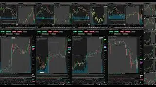 2022/05/23 - AMGN, EBS, NVDA, PANW, TSLA (green day)