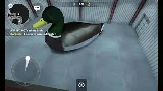 Why Devs love ducks in critical ops
