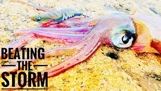 BEATING the STORM - LANDBASED SQUID and SNAPPER NZ