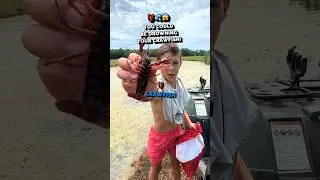 HOW TO STOCK A CRAWFISH POND #crawfish #crawkid #louisiana