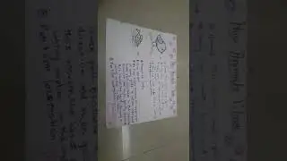 How Animals Move