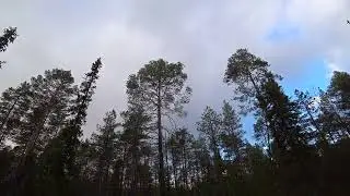 C0001