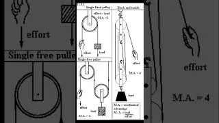 Pulley System Explained |Single Fixed,Single Free & Block and Tackle#trend #logicpuzzles #trollface