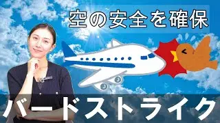 〖税何ラジオ第182回後半〗重要です！「バードパトロール」