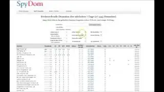 Genialer Tipp   Passende Domain finden f&uuml;r Ihr Business