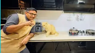 Special Morning Routine With Our Cutest Cats 🐈 🐈🐈❤️❤️❤️