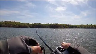 One Fish Wonder - BFL Music City - Percy Priest 4/23