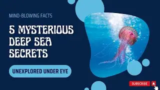 Five Mysterious Deep Sea Secrets in Tamil | Surprising Facts | Explore the underwater