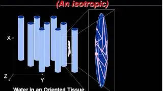 DIFFUSION  MR ..... Ayda Youssef.,MD