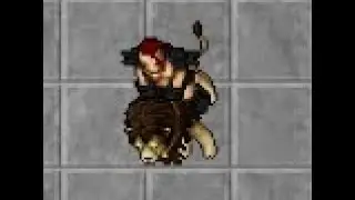 iniciante grindando no TIBIA GLOBAL (USTEBRA)