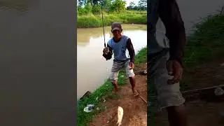 Angler Raja Bawal @ramlankehed