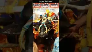 Iruvail panila Finisher Legend Bottimaar 😍