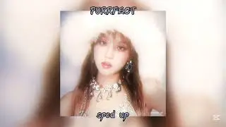 「 ✦ VVS - PURRFECT - sped up ✦ 」