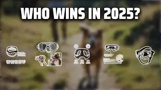 The Top 5 Best Dog Goggles in 2025 - Must Watch Before Buying!