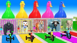 Long Slide Game With Cow Elephant Gorilla Hippopotamus Tiger 3d Animal Game Funny 3d Animals