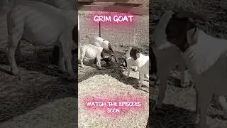 Grim Goat - 