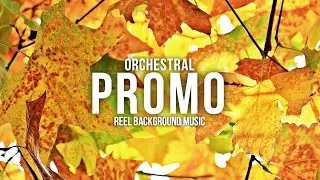ROYALTY FREE Orchestral Music / Commercials & Event Promo Music Royalty Free by MUSIC4VIDEO