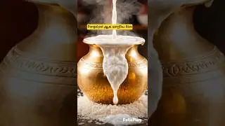 one touch 🧉Rice turns into pongal pot -wait for stunning magic twist -Happy pongal #shorts