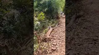 Talameting waterfall Koraput. finally got it.