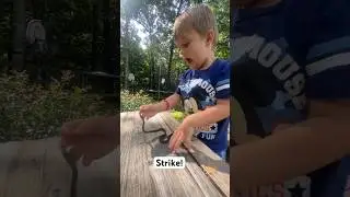 My 4 yo son gets bit by snake during lesson. #dadlife  #herpetology #snakebite