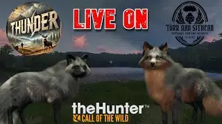 1485 Abates no Grind da Raposa na Escócia - The Hunter Call of the Wild