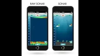 Эхолот iBobber в действии/Fishfinder iBobber in action
