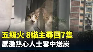 聖誕前夕宏仁閣尋回生還貓隻，8貓主陳小姐尋回7隻貓感到安慰，對熱心人士雪中送炭心存感激。