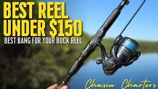 Best fishing reel under $150 - Chasin Charters - Crystal River, FL