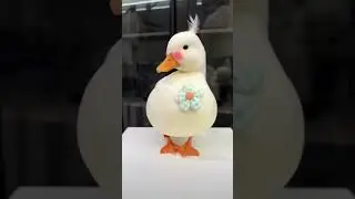 Hello miss Cute duckling😍🥰😍😍😍 #short #viral #birds