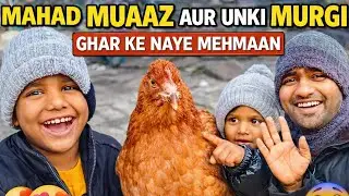 Mahad Muaaz's Chicken 🐔😂 | Hungama in the house