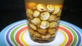 CARACOLILLOS EN VASO