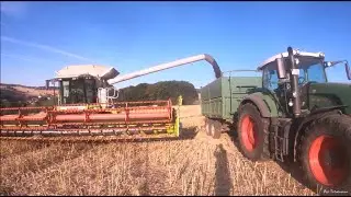 Rapsernte | Lexion 600 Terra-Trac | Agri Entrepreneur
